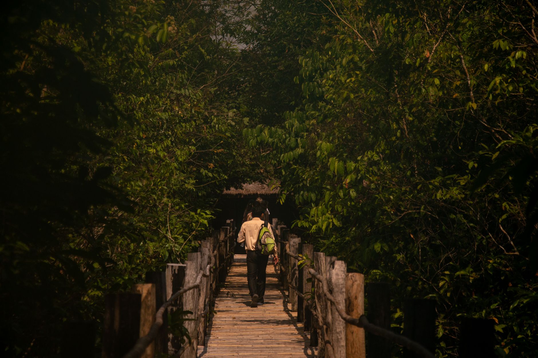 Caminata guiada en reserva natural mexicana